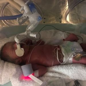 Meet your Posher, Frank